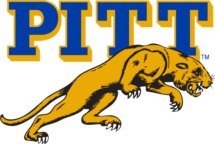 Pittsburgh Panthers 1960-1969 Alternate Logo v2 diy DTF decal sticker